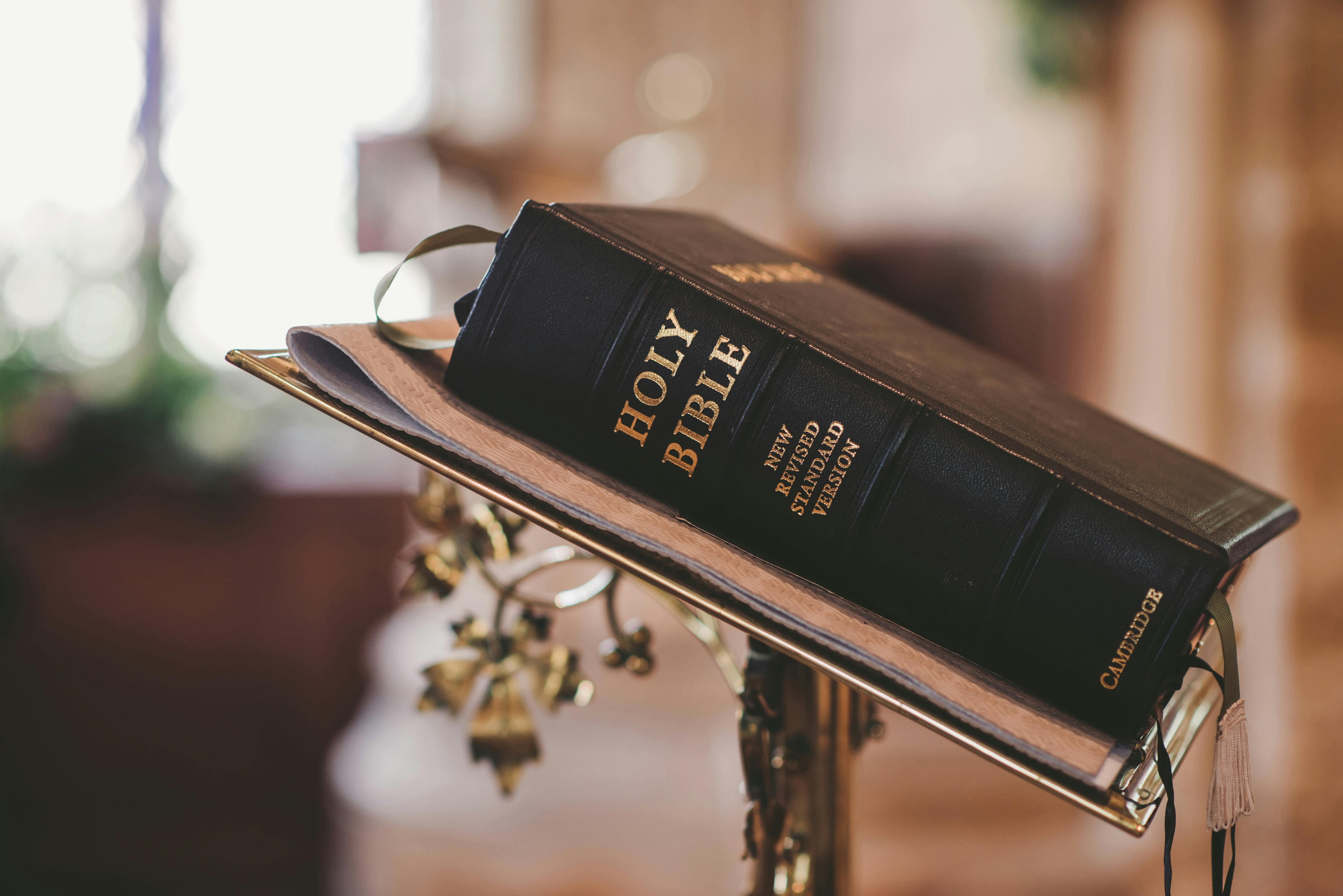 Dove representing the Holy Spirit